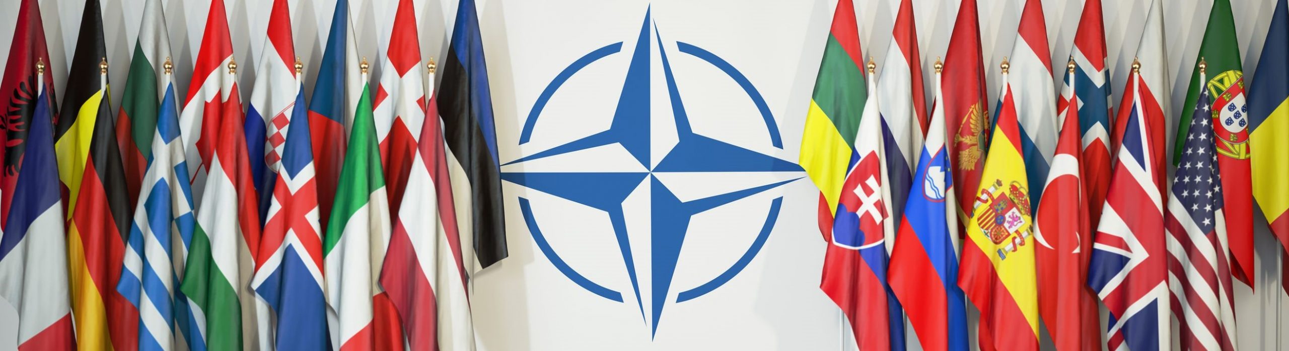 El futuro de la OTAN tras la cumbre de Madrid 2022